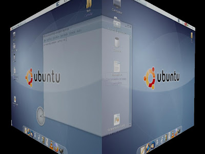 Configurare il cubo di Compiz Fusion (K)Ubuntu