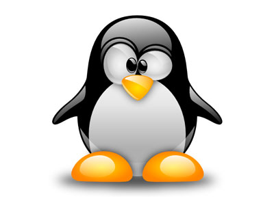 Come accedere alla partizione Linux da Windows